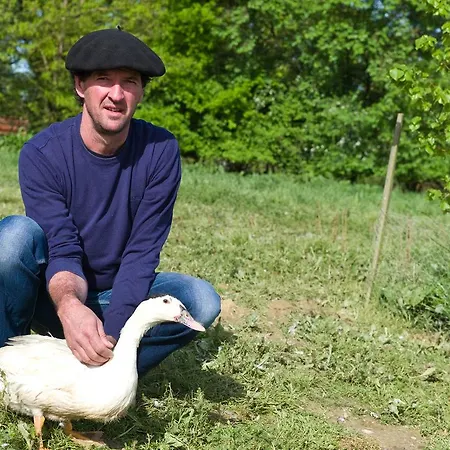 La Ferme De La Patte D'oie 3* Saint-Michel (Gers)