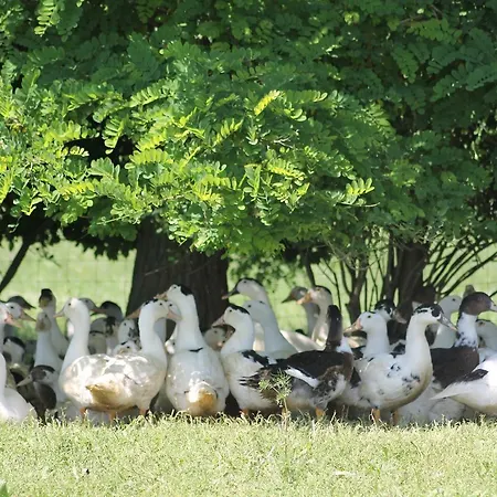 فندق مبيت وإفطار La Ferme De La Patte D'oie