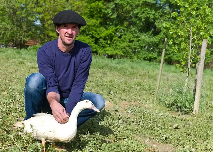 La Ferme De La Patte D'oie 3* Saint-Michel (Gers)